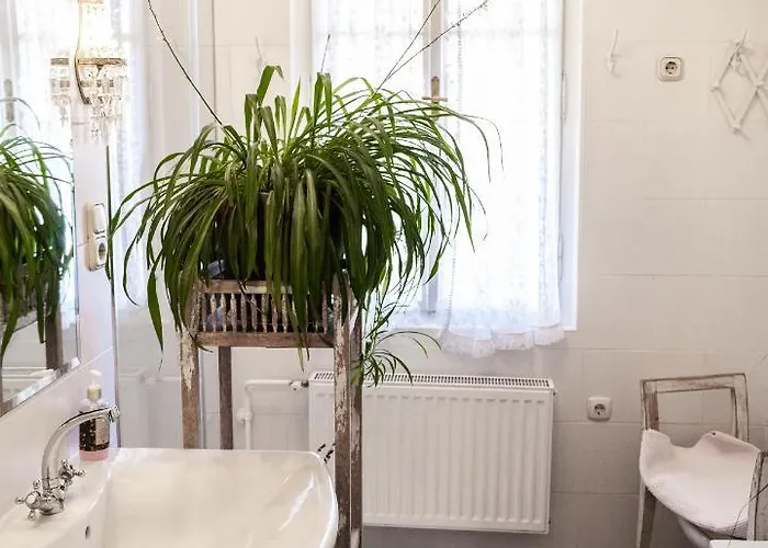 Bajtica Гостевой дом