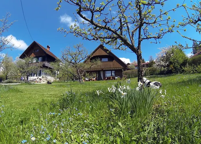 Bajtica Гостевой дом Блед