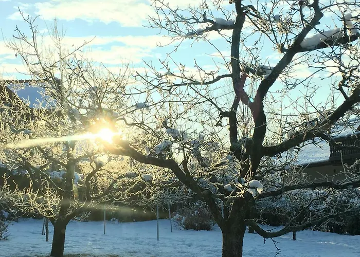 ضيافة بايتيتشا بيت ضيافة بليد