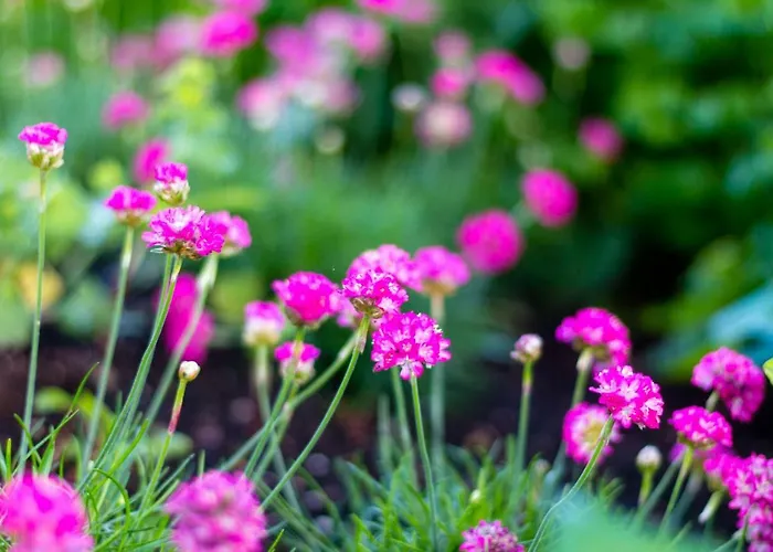 Bajtica Гостевой дом